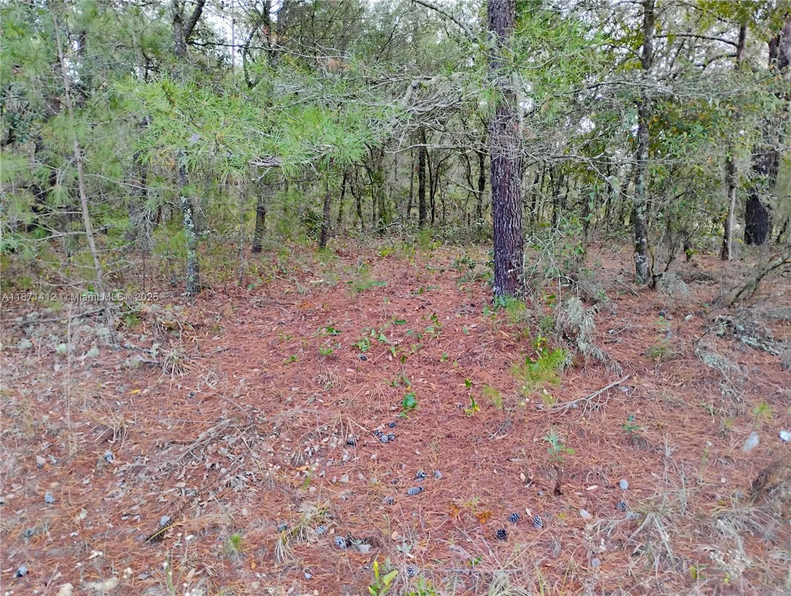 for sale at 302 Kennedy, Palatka FL 32148