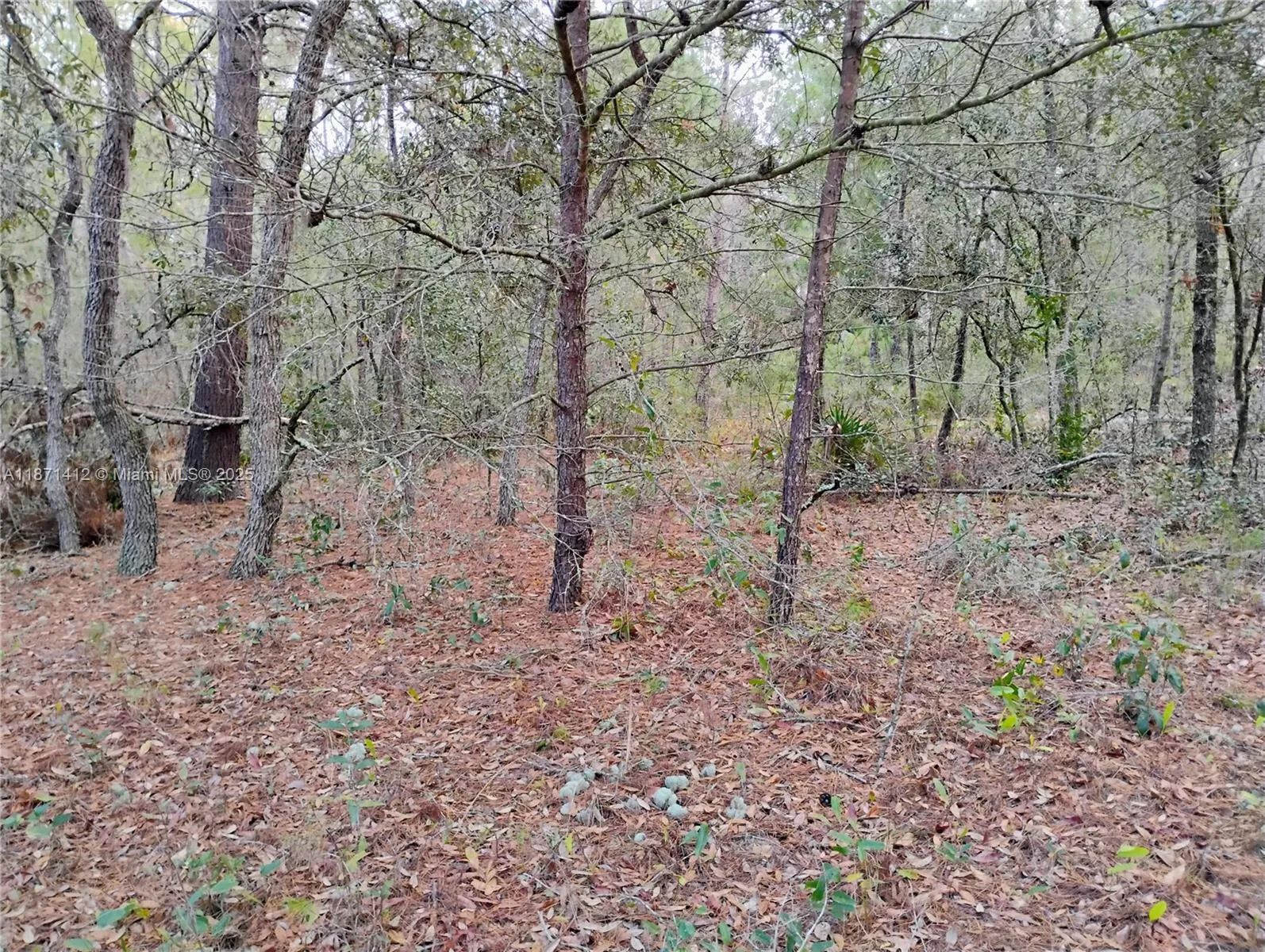 302 Kennedy, Palatka FL 32148