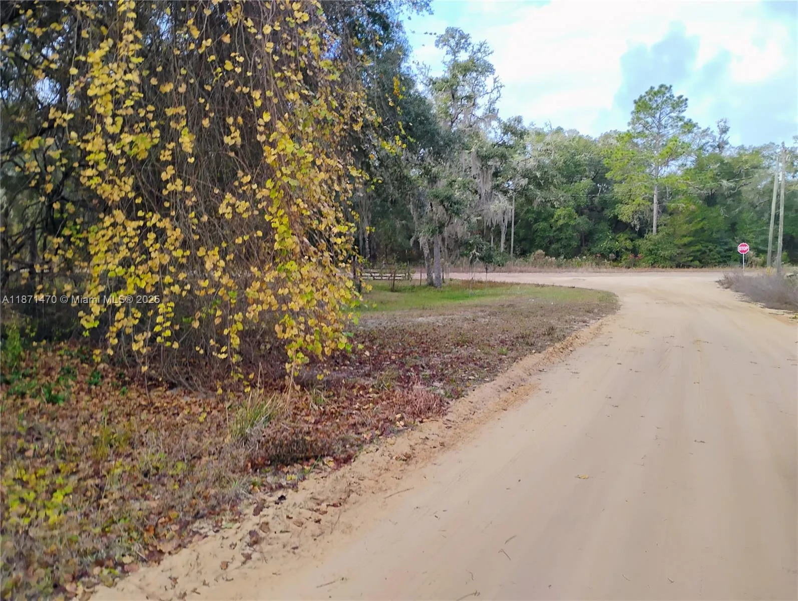 103 Antler, Palatka FL 32148