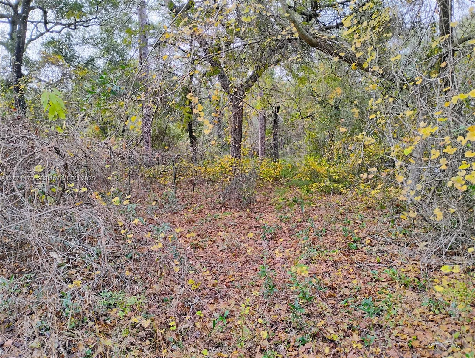 103 Antler, Palatka FL 32148