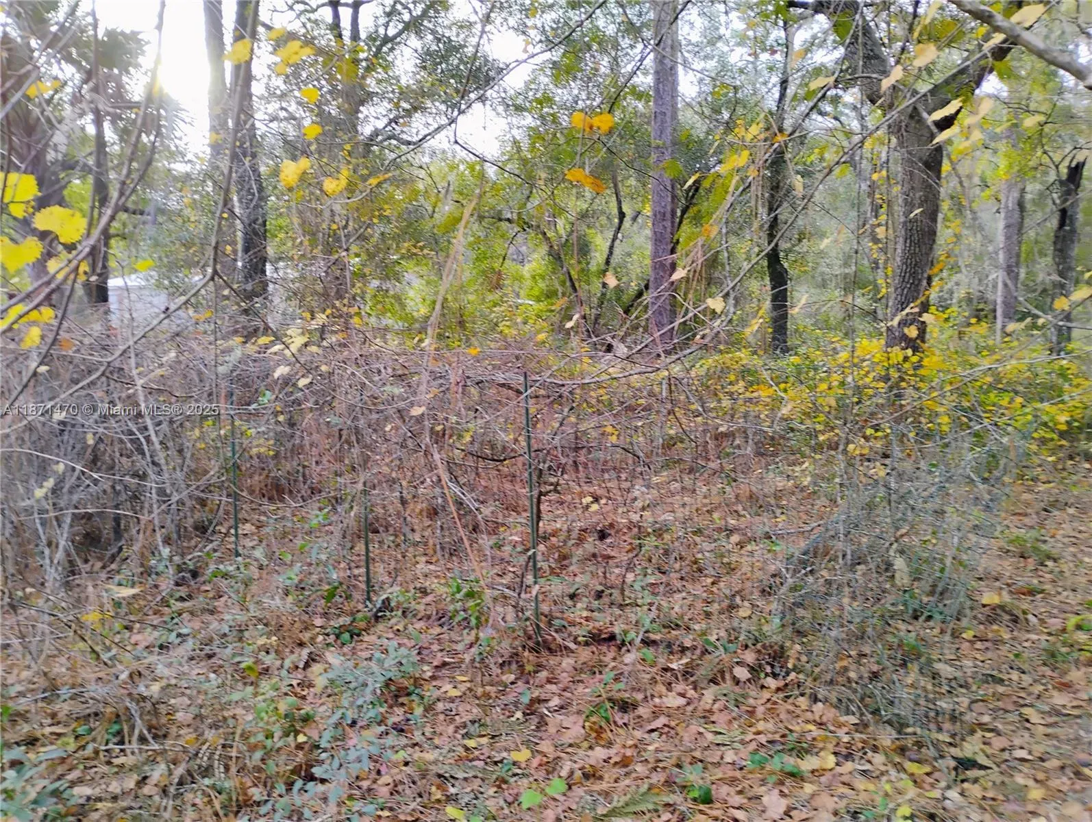 103 Antler, Palatka FL 32148