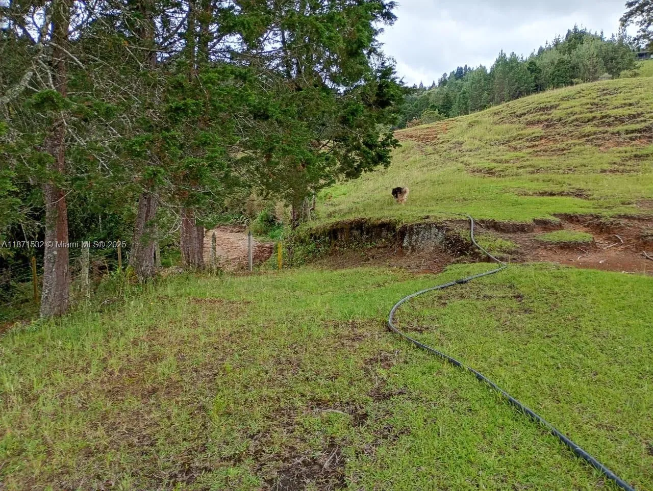 MUNICIPIO DE GUARNE, FL 2563