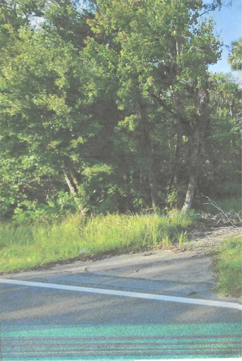 00 Adair Road, Davenport FL 33837