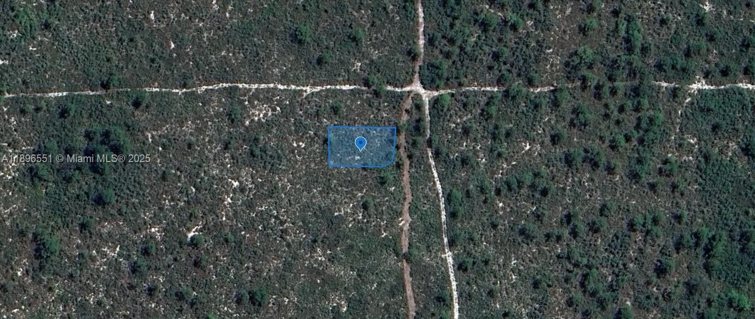 for sale at 700 Watterson, Lake Placid FL 33852