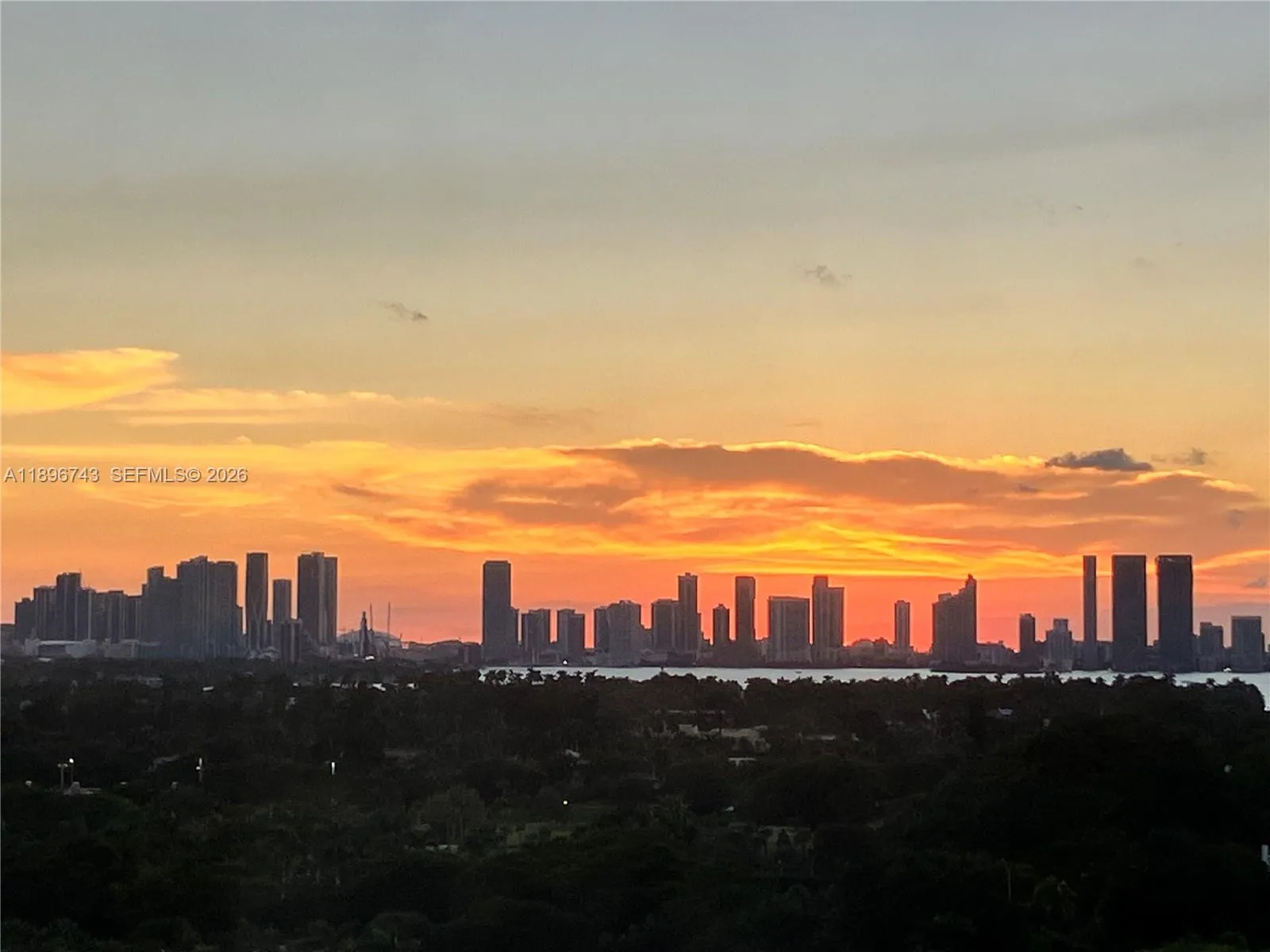 2899 Collins Ave # 1638, Miami Beach FL 33140