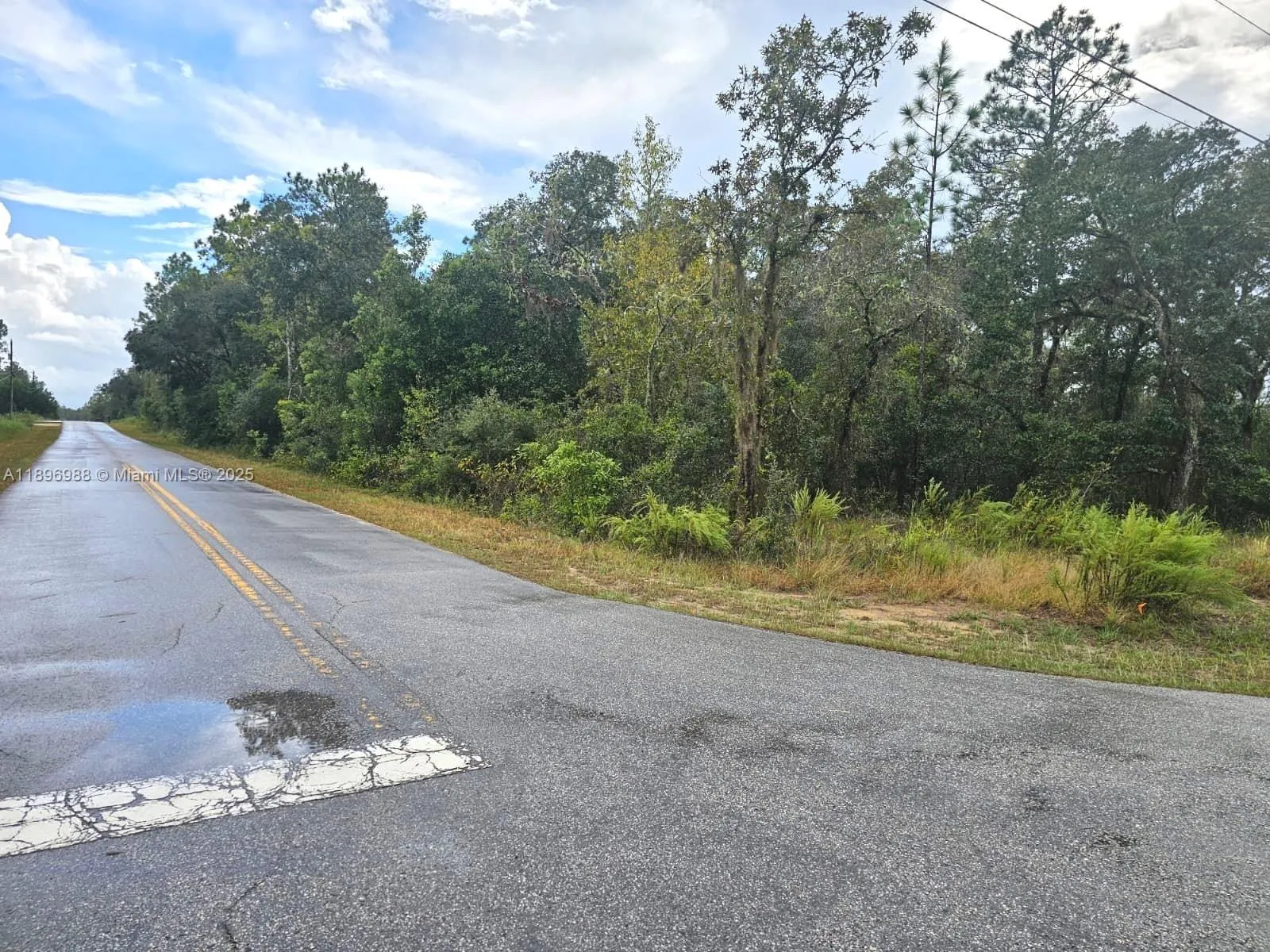 SW Sea Cliff Ave, Other City - In The State Of Florida FL 34431