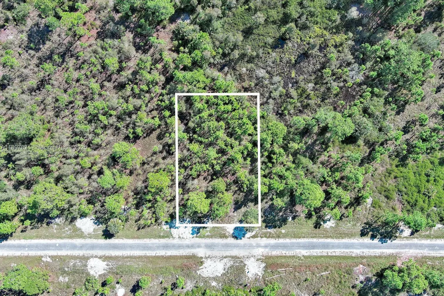 839 KALEY AVE S, Lehigh Acres FL 33974