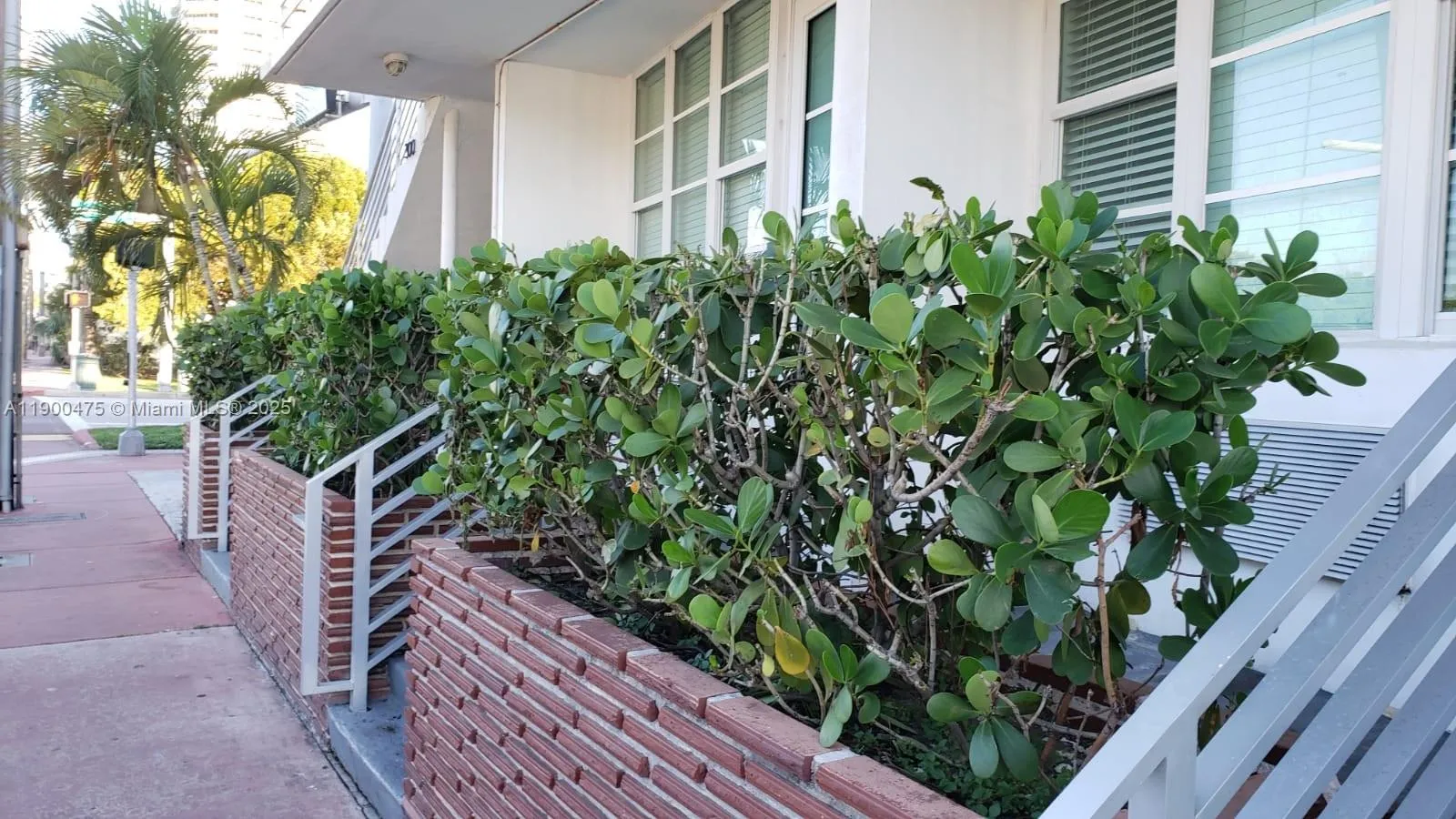 300 74th St # 3, Miami Beach FL 33141