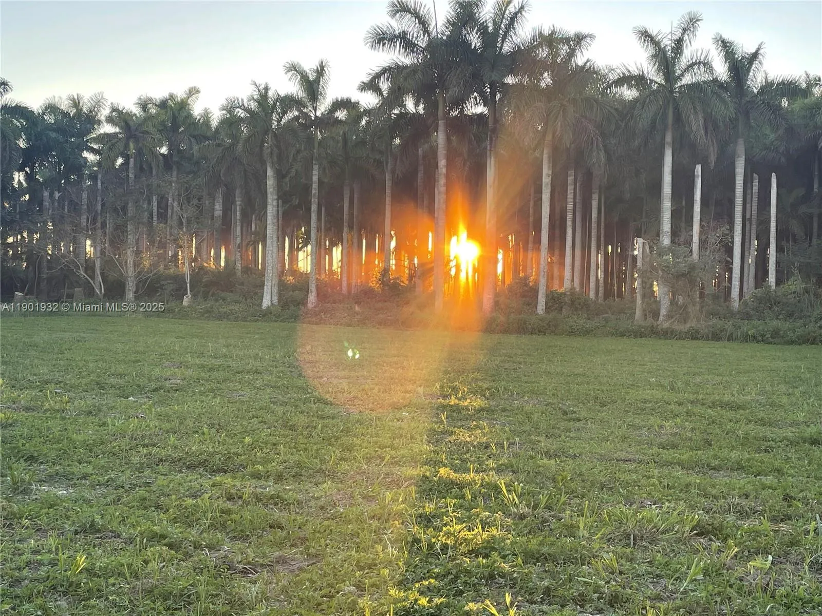 15200 SW 197th Avenue, Miami FL 33187