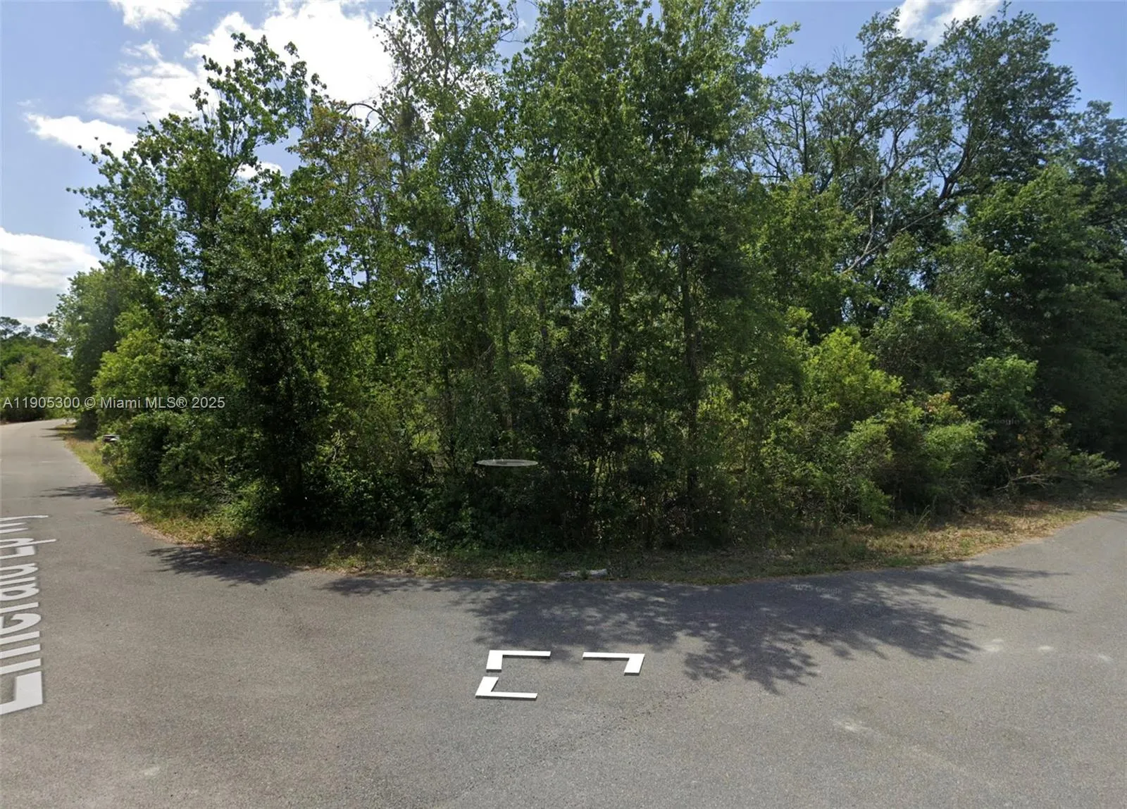 Land/Boat Docks for sale at 201 Emerald Loop Way, Ocala FL 34472