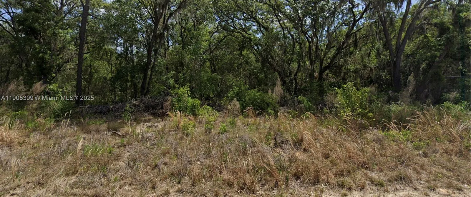 Land/Boat Docks for sale at 11 Hickory Track Drive, Ocala FL 34472