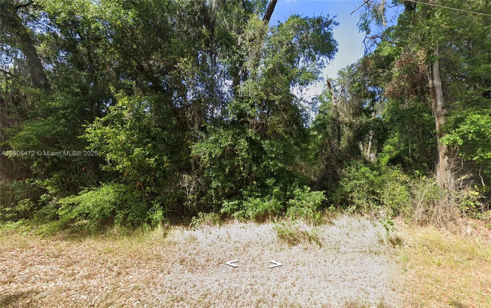 Land/Boat Docks for sale at 0 Oak Circle, Ocala FL 34472