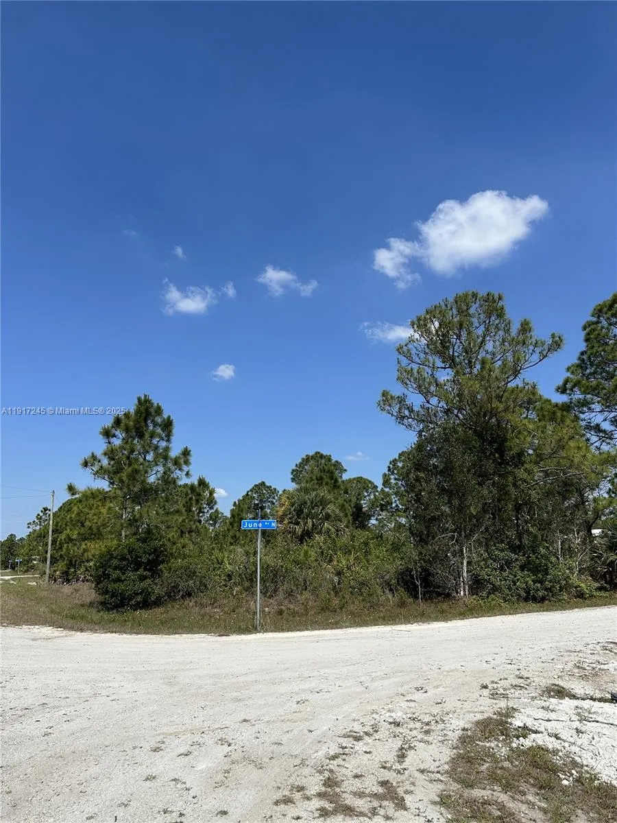 3401 JUNE AVE N, Lehigh Acres FL 33971