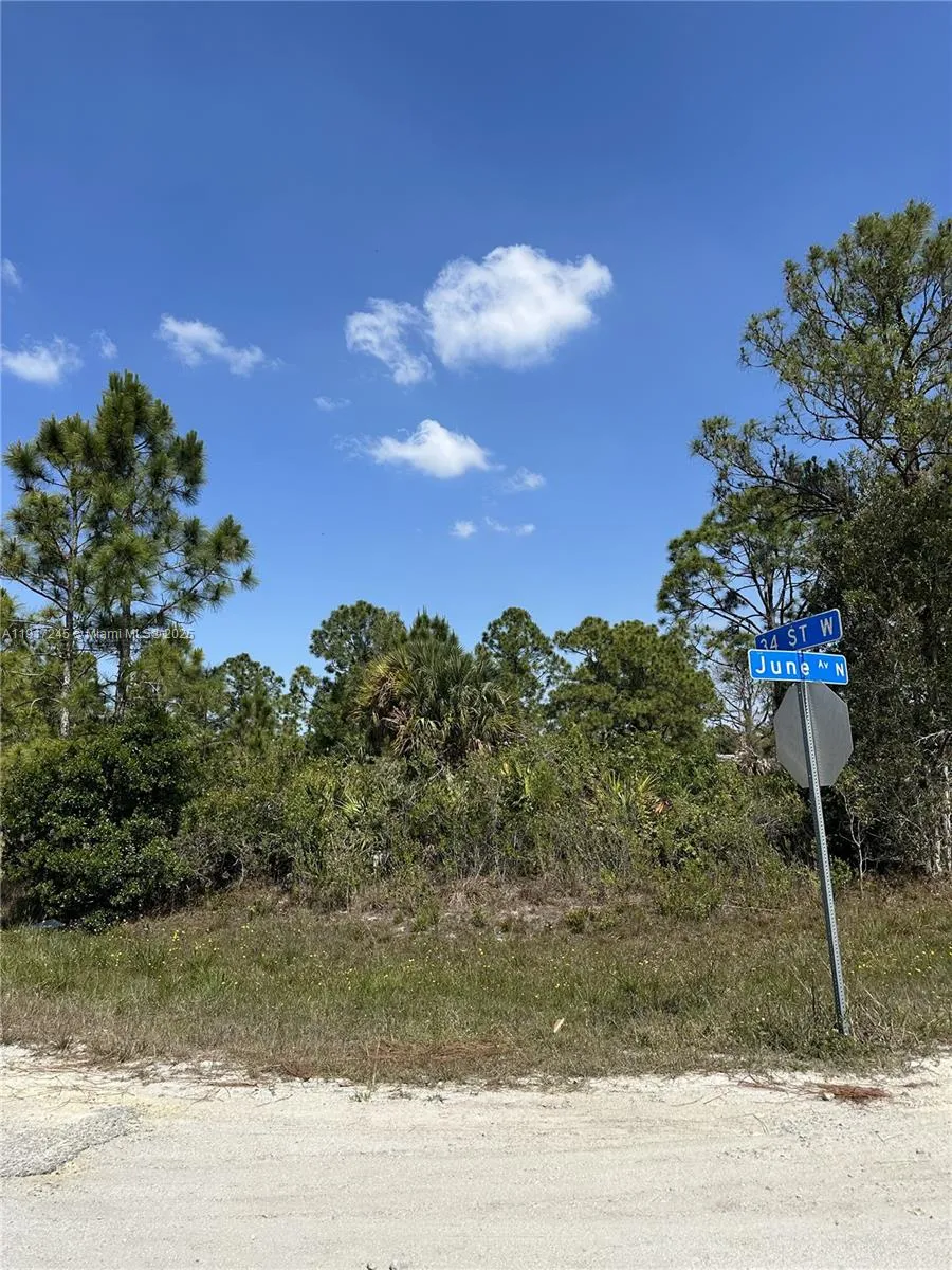 3401 JUNE AVE N, Lehigh Acres FL 33971