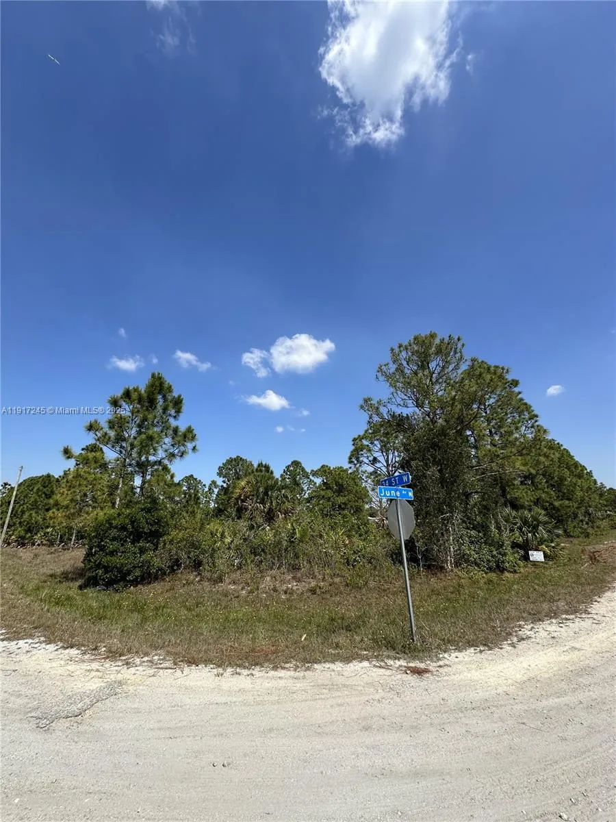3401 JUNE AVE N, Lehigh Acres FL 33971