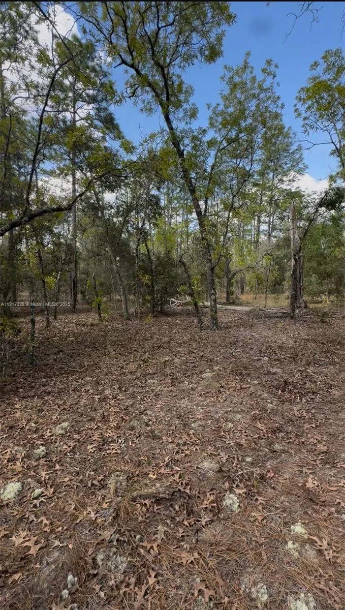 Land/Boat Docks for sale at SW SW INDIAN HILL DR, Ocala FL 34431