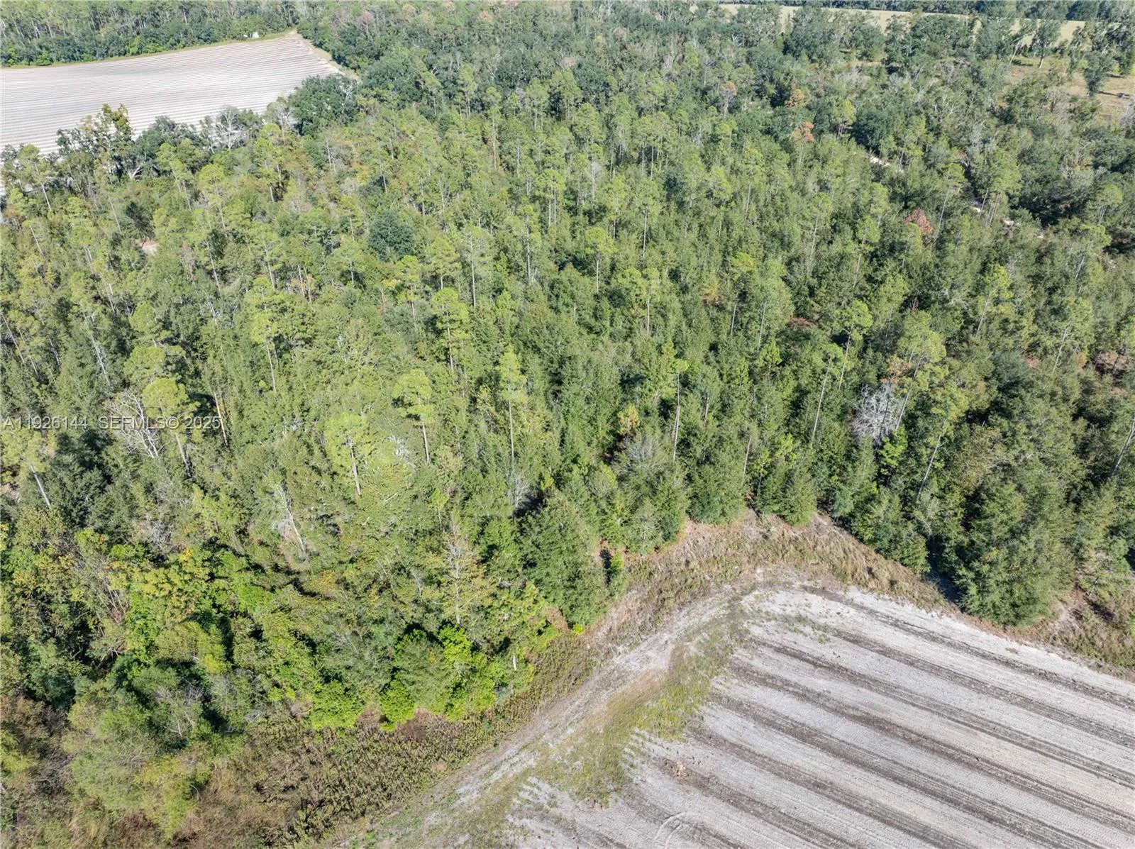 NE Daisy St, Other City - In The State Of Florida FL 32340