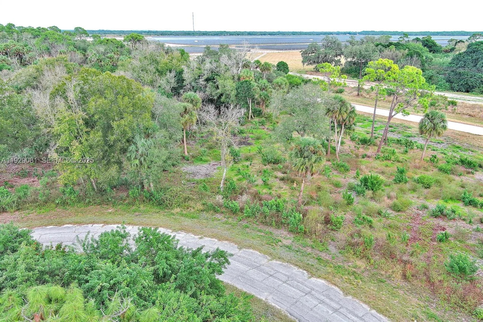 171 CAROUSEL AVE, La Belle FL 33935