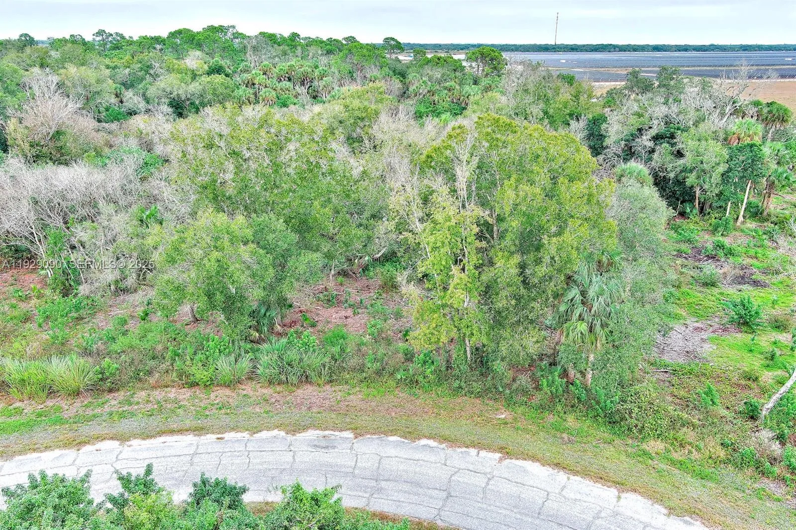 Land/Boat Docks for sale at 173 CAROUSEL AVE, La Belle FL 33935