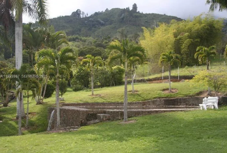 BUGA CALIMA - DARIEN 0000000, FL