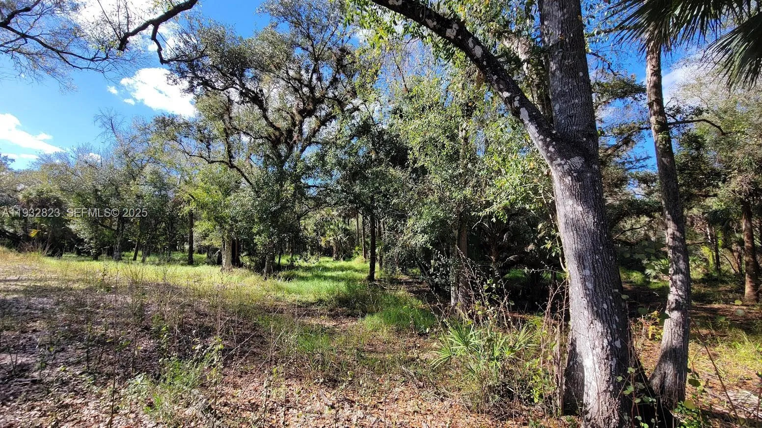 Land/Boat Docks for sale at 1 Wright St., La Belle FL 33935