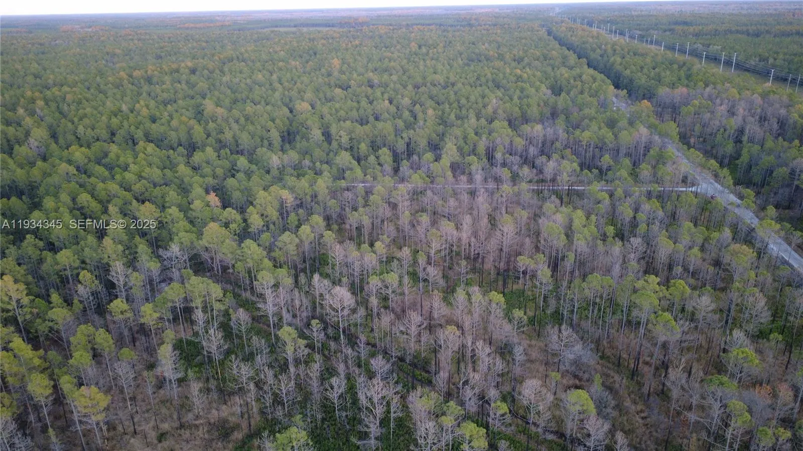 0 Guzman Ave, Other City - In The State Of Florida FL 32145