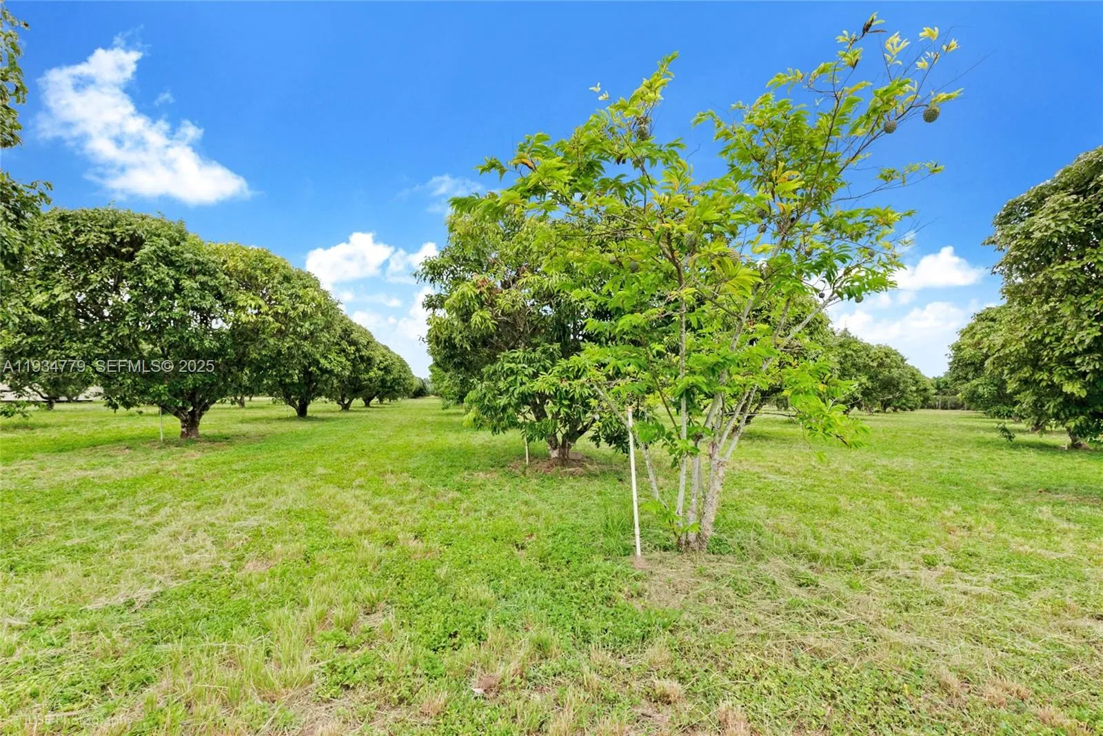 206 SW Street Between 137 Ave & 139 Ave, Miami FL 33177