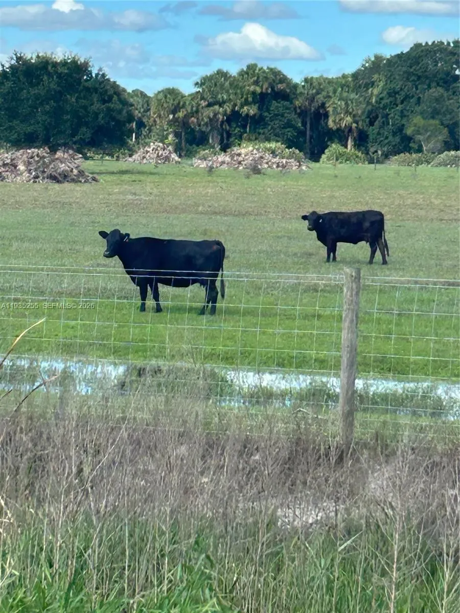 NW 72 Ave, Okeechobee FL 34972