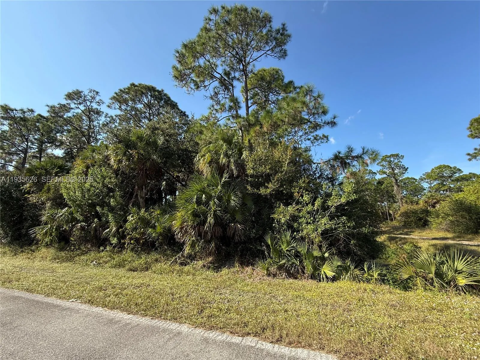 for sale at 810 S MAYORAL ST, Clewiston FL 33440
