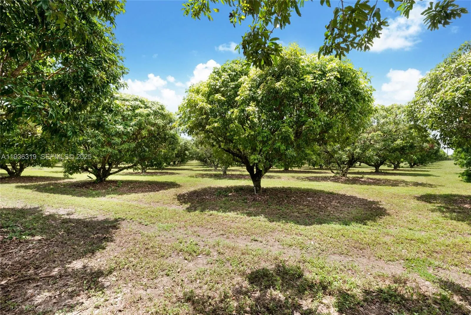 206 SW Street Between 137 Ave & 139 Ave, Miami FL 33177