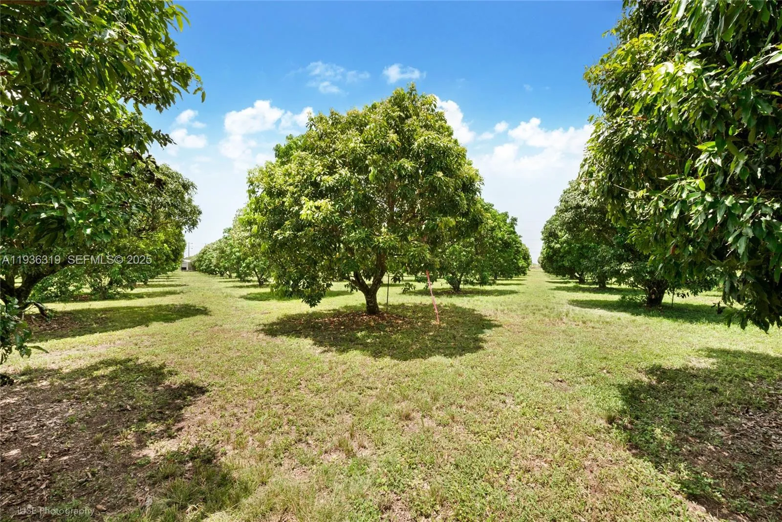 206 SW Street Between 137 Ave & 139 Ave, Miami FL 33177