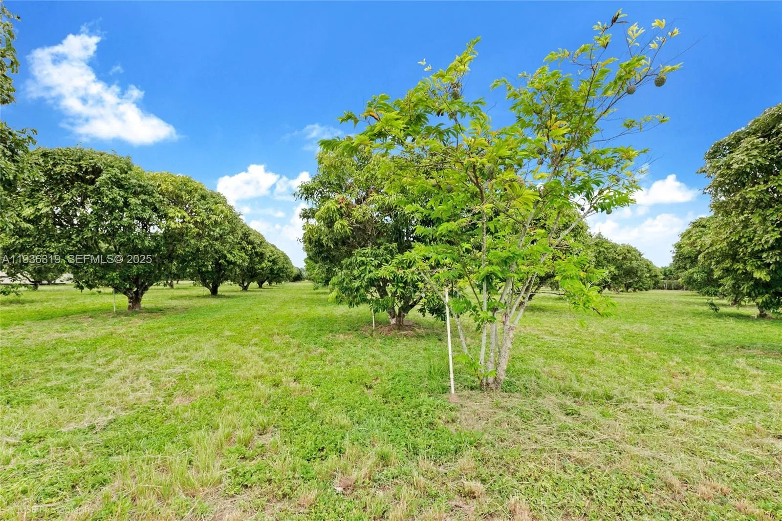 206 SW Street Between 137 Ave & 139 Ave, Miami FL 33177