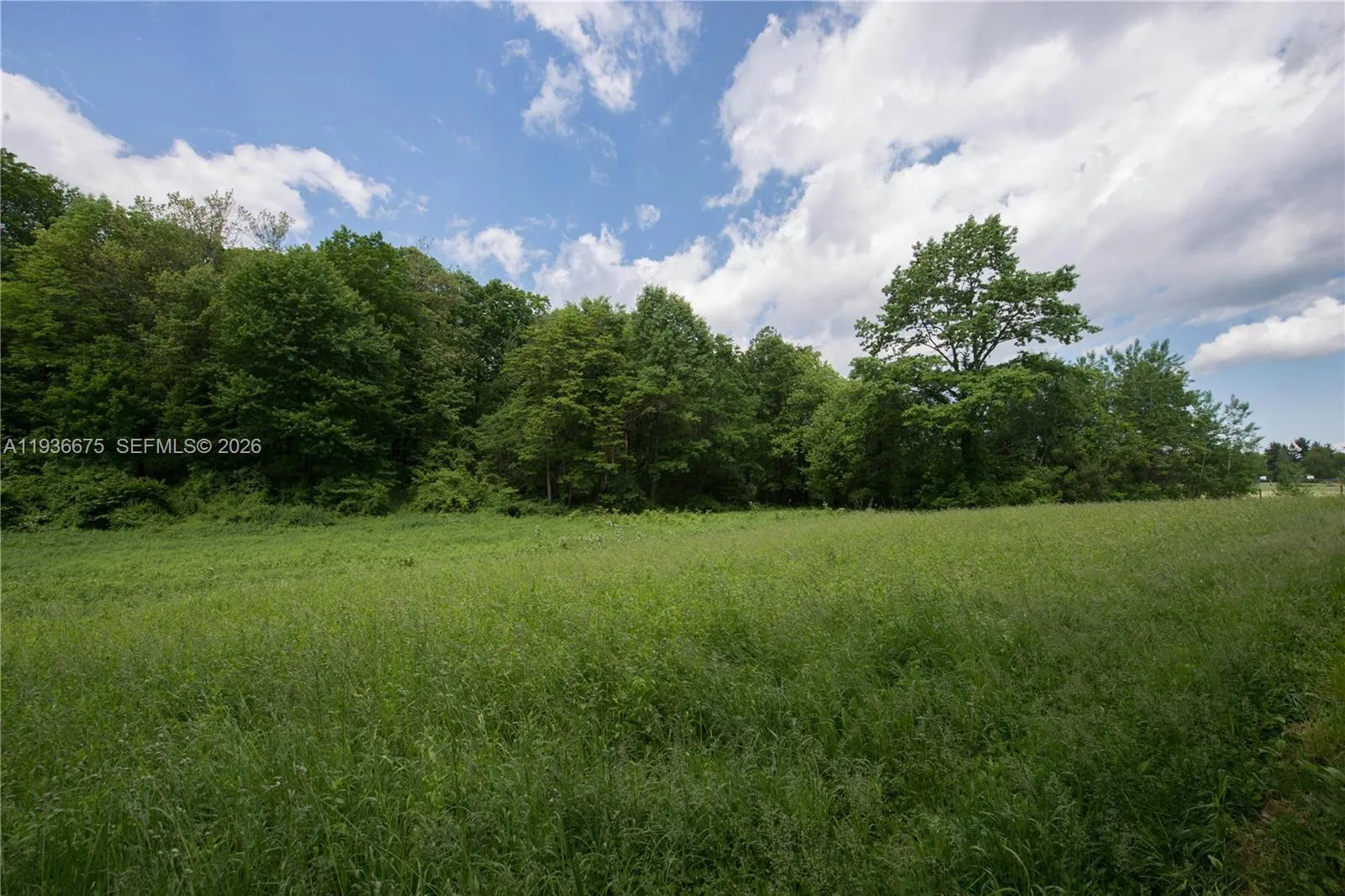 Commercial Land for sale at 159 Ave SW 29 St, Miami FL 33185