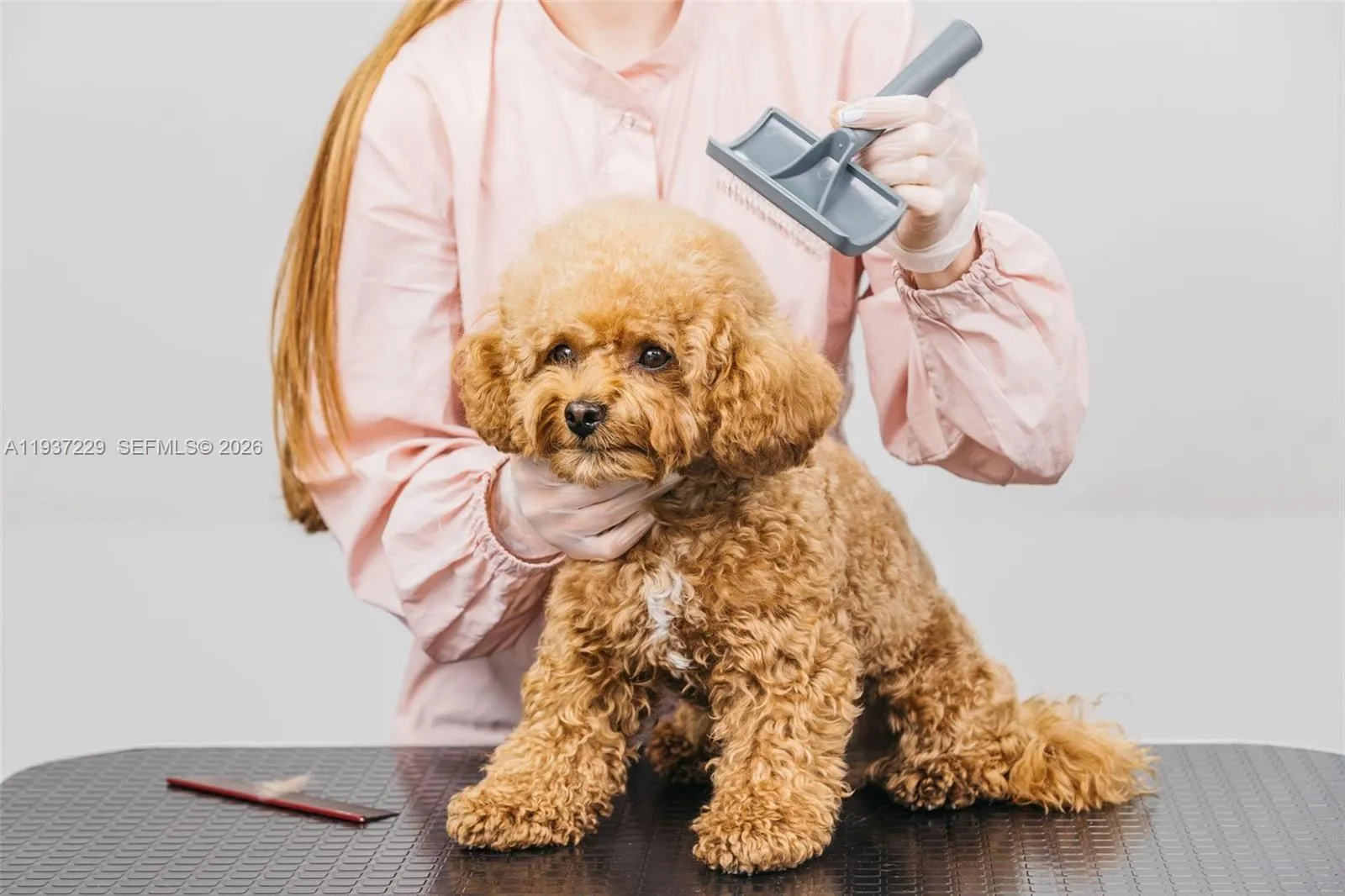 Business Opportunity for sale at Pet Grooming, Pompano Beach FL 33060