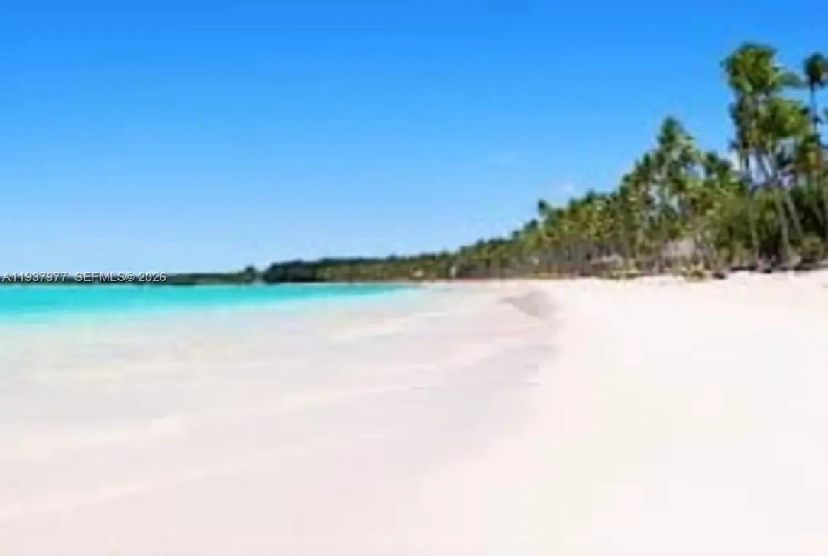 Alta Vista l Villa PUNTA CANA, FL