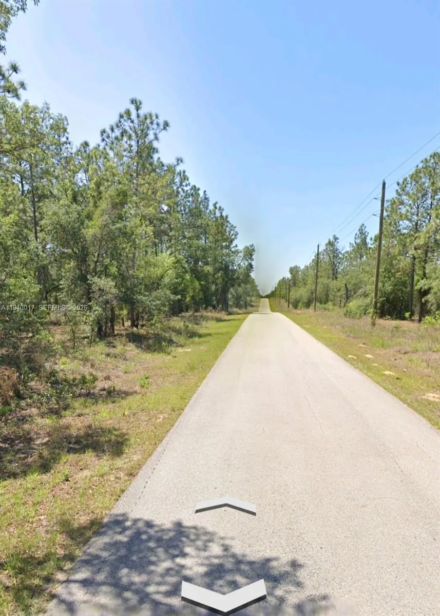 LOTS 1.2 NW Buena Vista Rd, Ocala FL 34431