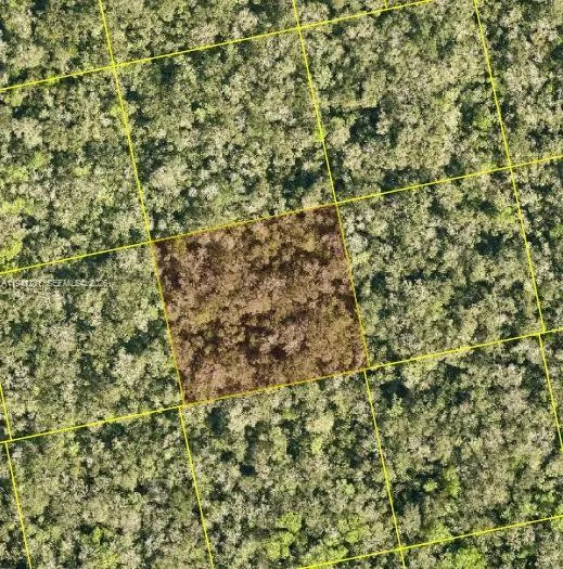 0 Unknown, Other City - In The State Of Florida FL 32759