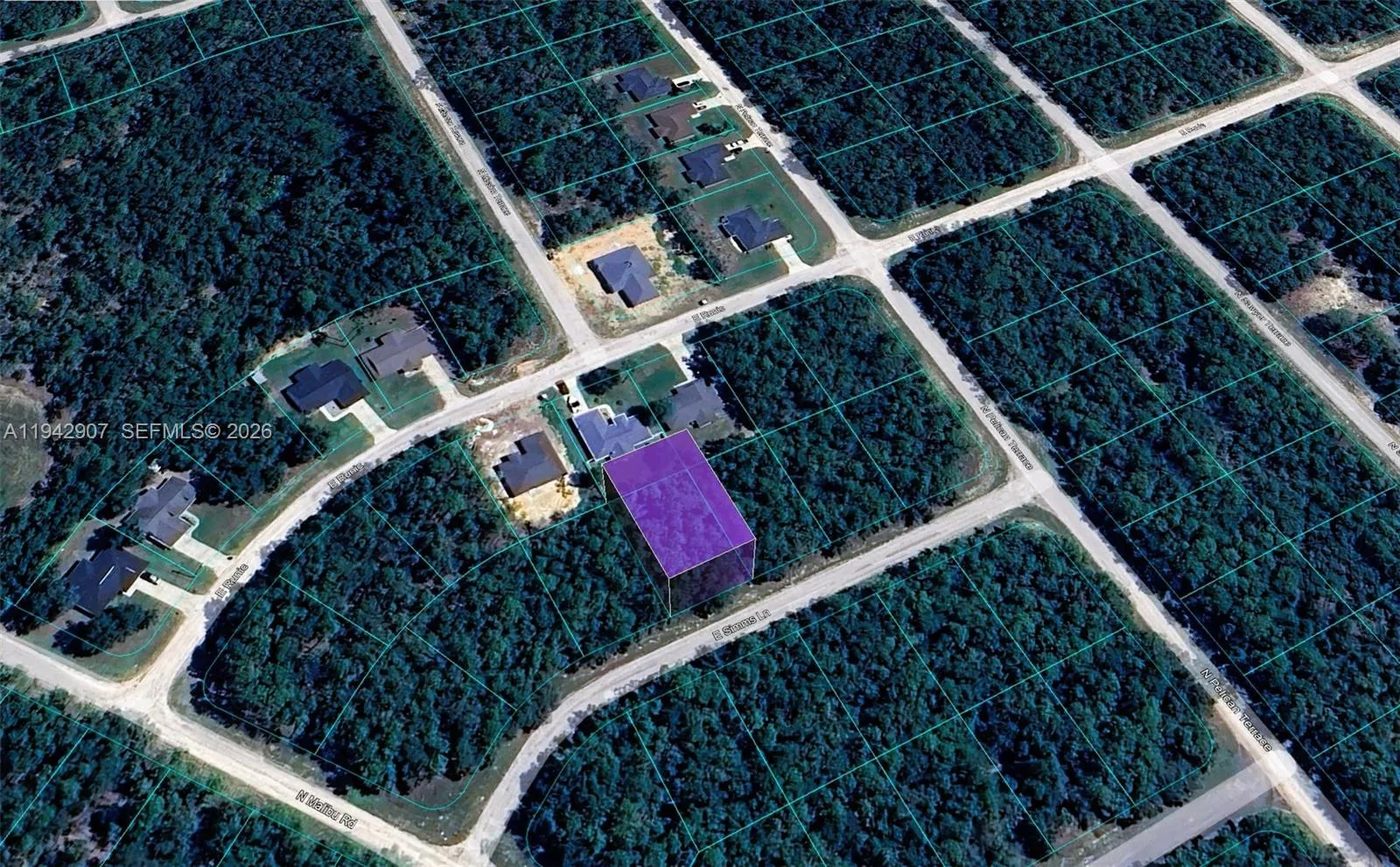 for sale at 165 E Simms Lane, Citrus Springs FL 34434