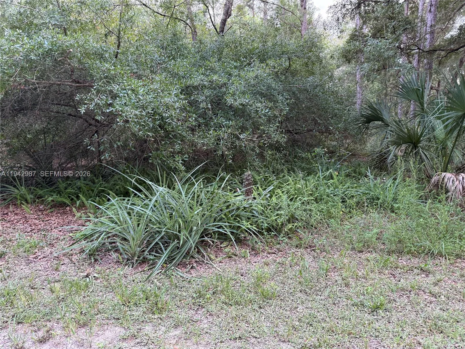 0 St Benedict Dr, Other City - In The State Of Florida FL 34432