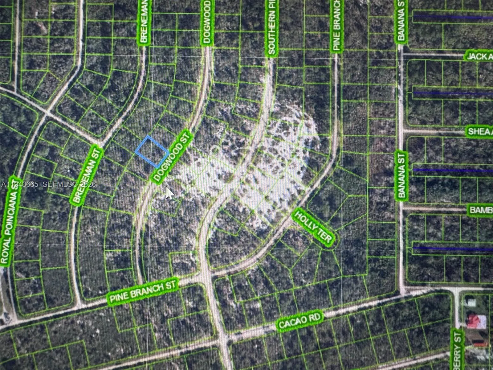 for sale at 1230 Dogwood, Lake Placid FL 33852