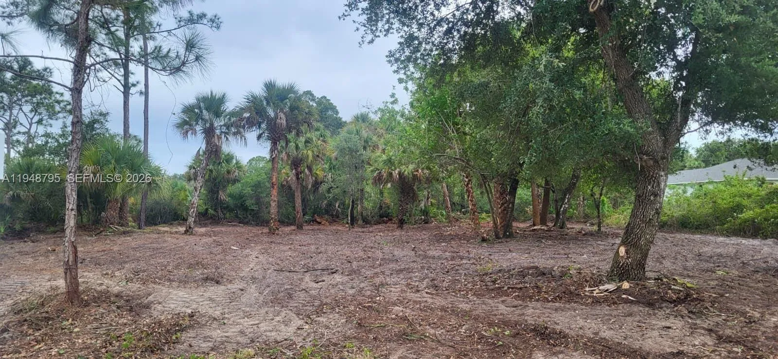 315 Ivanhoe Ave, La Belle FL 33935