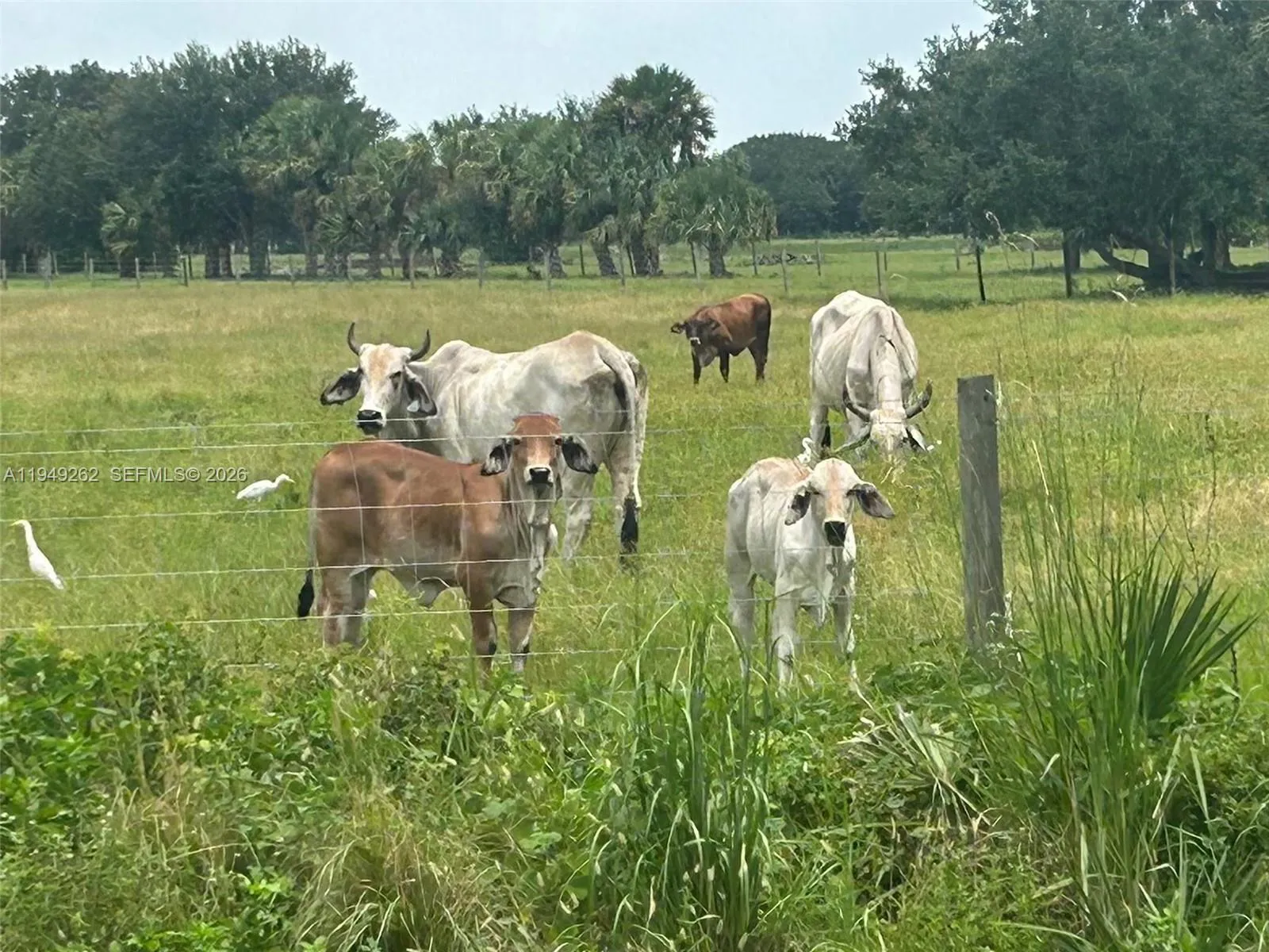 27325 NW 72, Okeechobee FL 34972