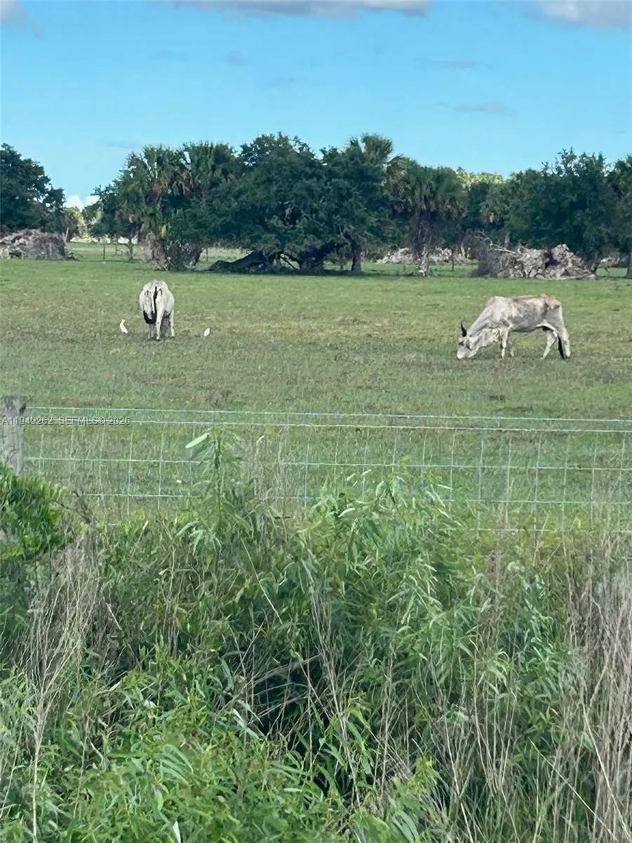 27325 NW 72, Okeechobee FL 34972