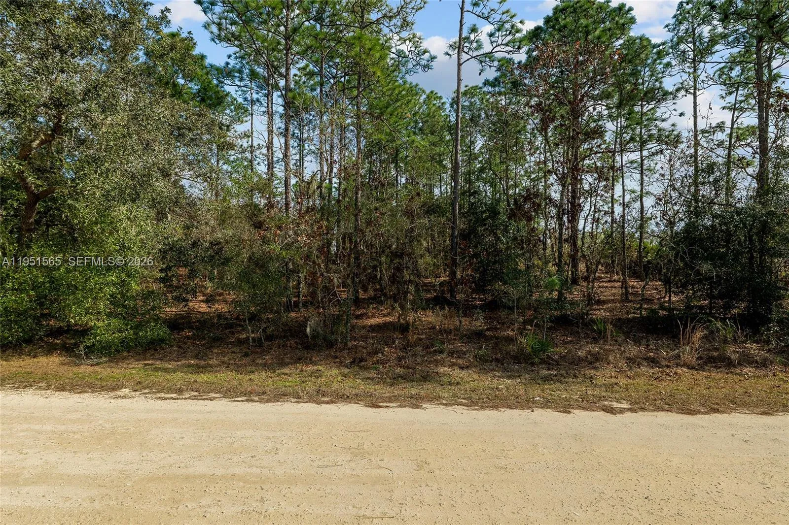 TBD SW 128th Terrace Road, Ocala FL 34481