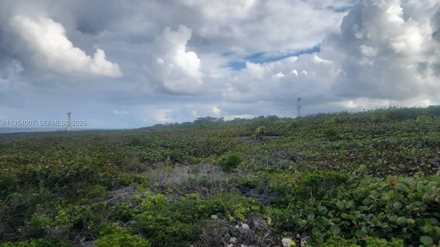 00 Galina, St. Mary, Jamaica, FL