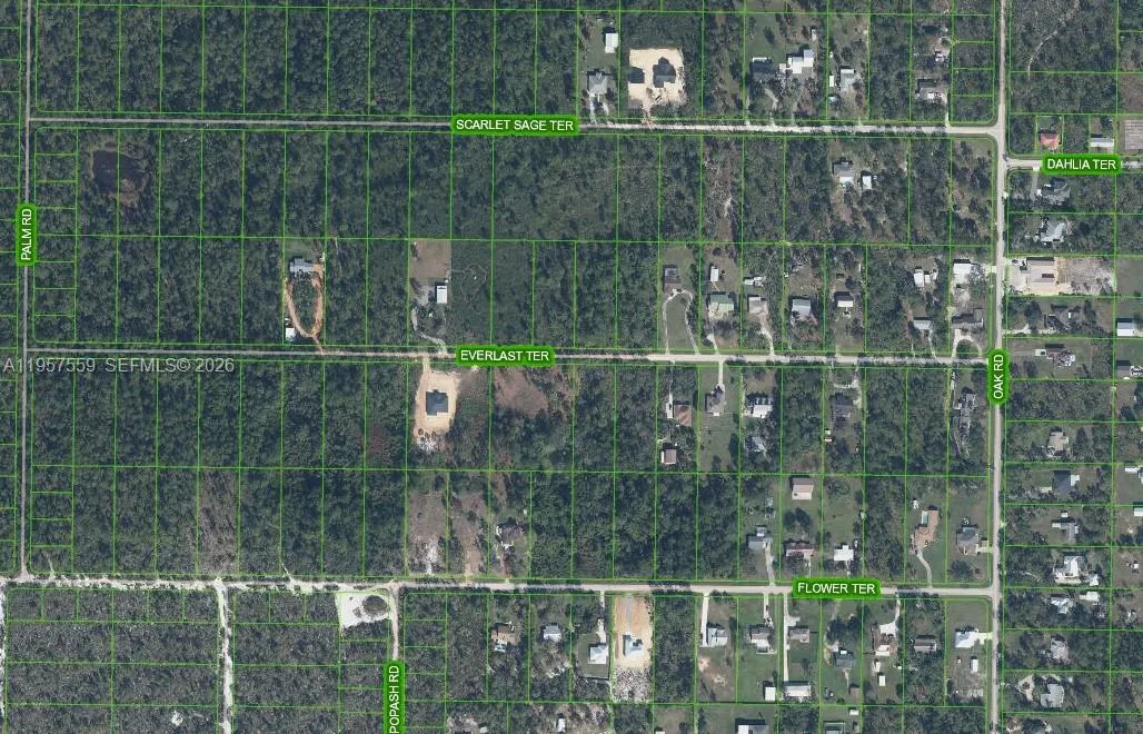 1981 SCARLET SAGE TER, Sebring FL 33875
