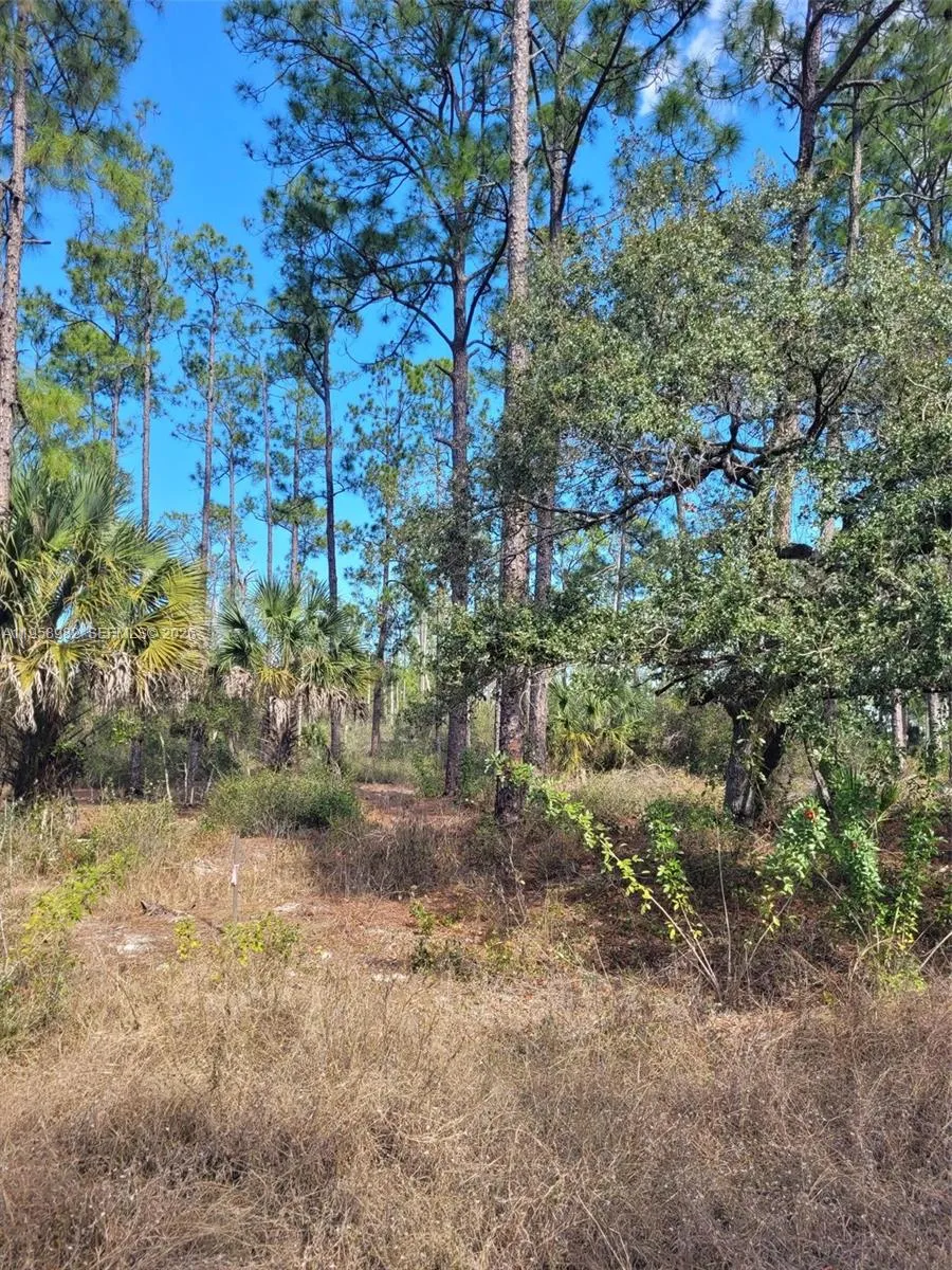 7620 19th PL Wheeler, La Belle FL 33935