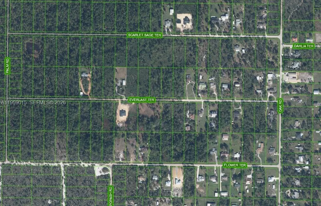 1977 SCARLET SAGE TER, Sebring FL 33875