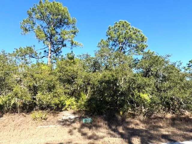 3221 N Dahlia, Lake Placid FL 33852