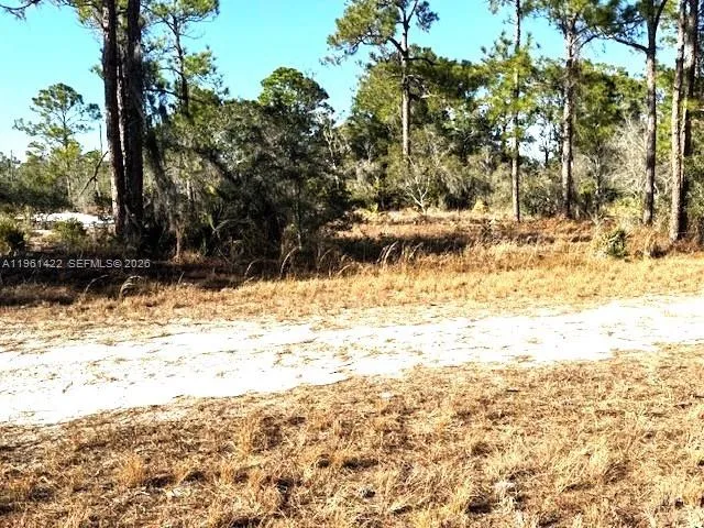 547 Branchwood Ave, Lake Placid FL 33852